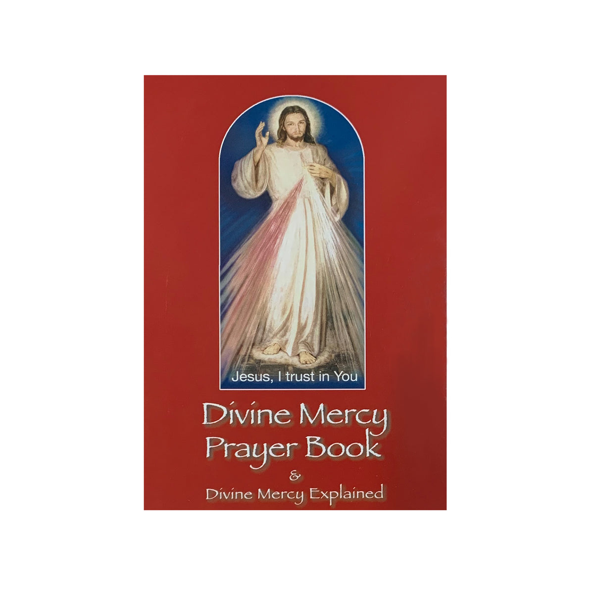 Divine Mercy Prayer Book Alphonsus Liguori T Shop