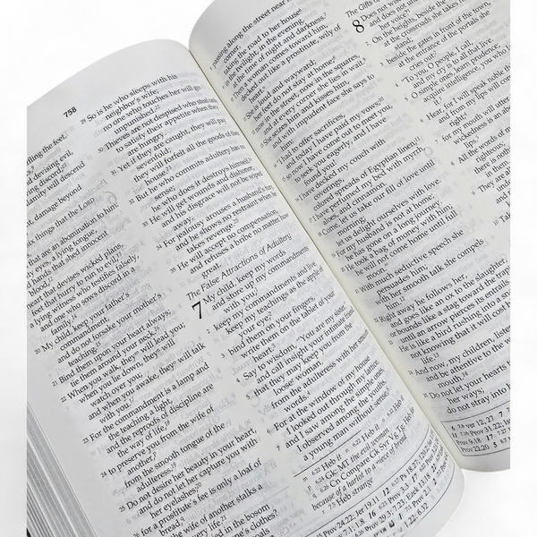 THE HOLY BIBLE NRSV - CATHOLIC EDITION