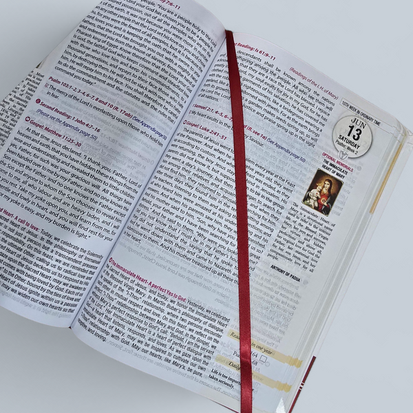 2026 BIBLE DIARY